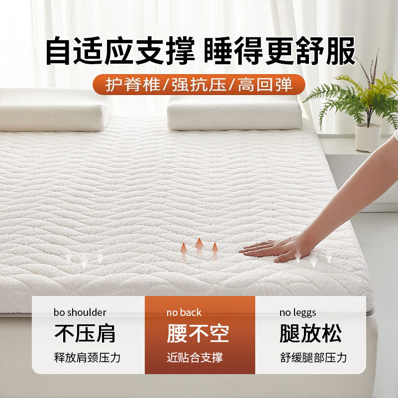 冬季羊羔绒床垫软垫家用
