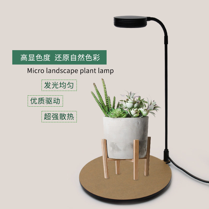 高亮LED微景观灯生态瓶