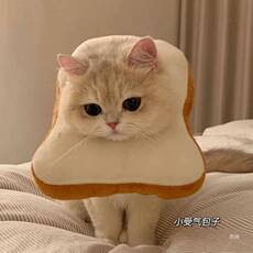 ПЭТ Элизабет