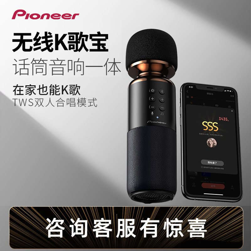 Pioneer/先锋 APS-LM11麦克风话筒音响一体无线蓝牙声卡唱歌直播