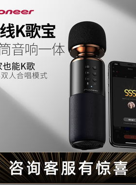 Pioneer/先锋 APS-LM11麦克风话筒音响一体无线蓝牙声卡唱歌直播