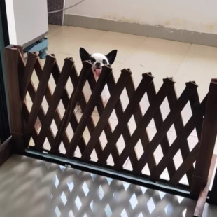 宠物围栏栅栏隔离门户外室内伸缩隔断拦猫拦狗栅栏挡板隔离网门栏