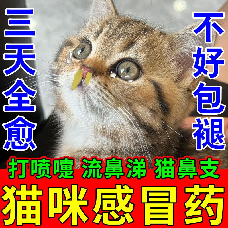 猫咪感冒药打喷嚏流鼻涕专用猫鼻支特效药幼猫咳嗽增加免疫力药剂