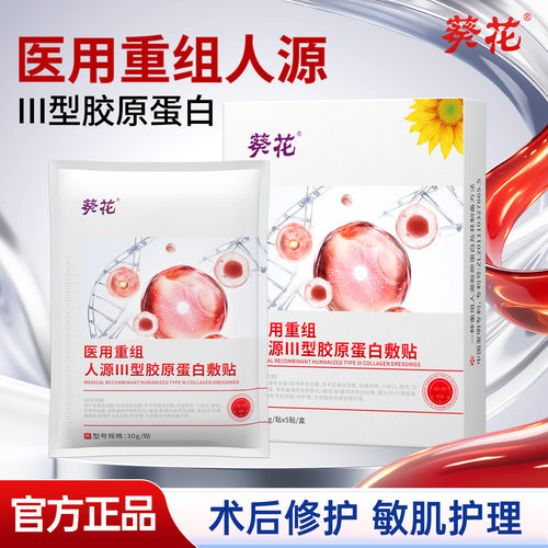 医用重组人源III型胶原蛋白敷贴