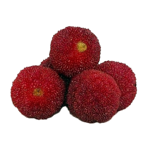 新鲜杨梅冷冻冰冻速冻杨梅泡酒仙居东魁杨梅孕妇水果冷链包邮