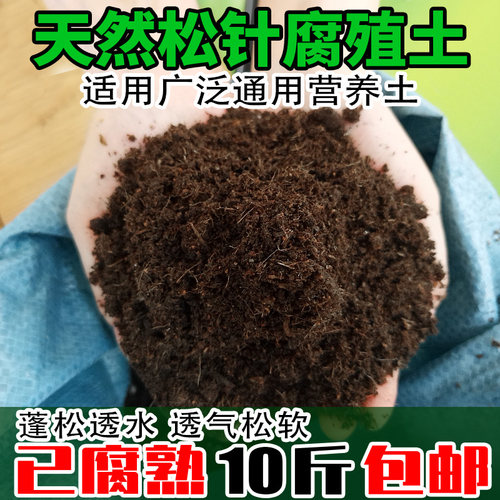腐熟松针腐殖土兰花多肉营养土养花专用种菜土壤通用型腐叶种植土 - 封面