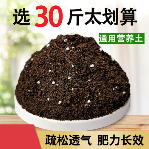 多肉绿萝营养土花土壤种植土有机