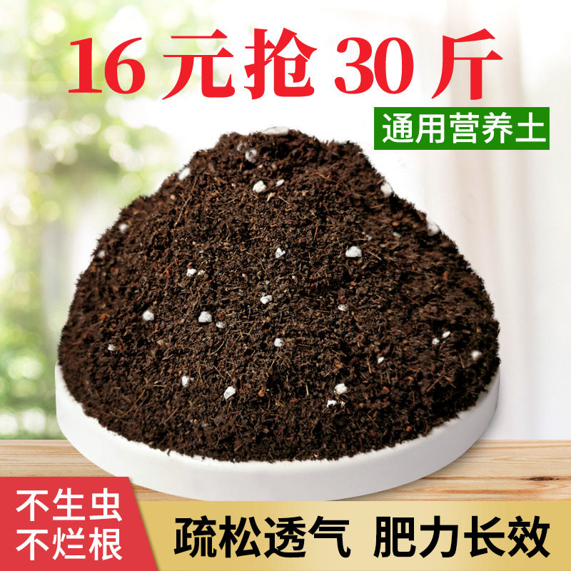 多肉绿萝营养土花土壤家用养花专用通用型种花盆栽有机花泥种植土在类目 鲜花速递/花卉仿真/绿植园艺, 园艺用品, 家庭园艺肥料/营养土/营养液中 - 来自Buy2taobao.com提供专业的淘宝代购服务