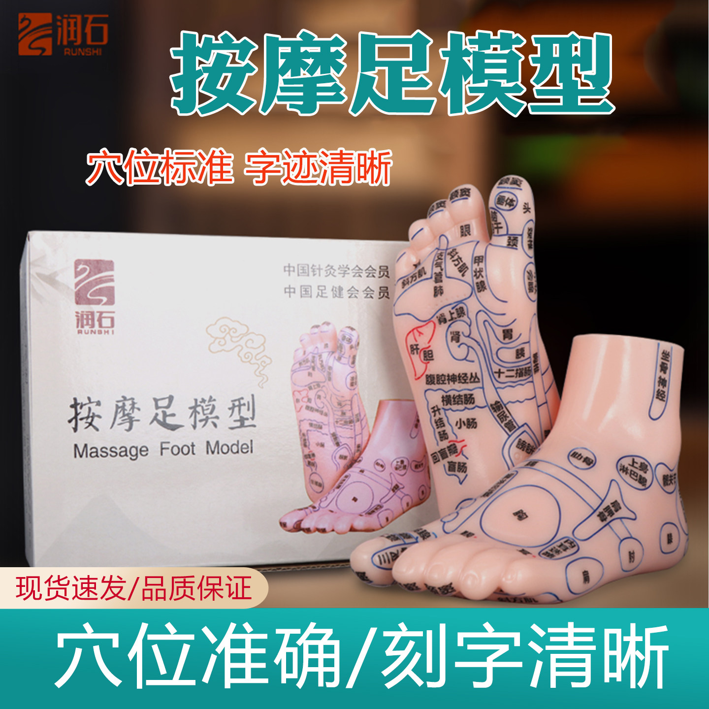 润石足底按摩模型足疗反射区经络穴位中医教学针灸脚底教学器具