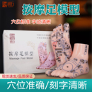 润石足底按摩模型足疗反射区经络穴位中医教学针灸脚底教学器具