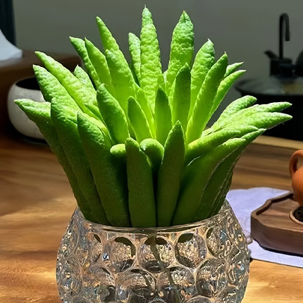 新鲜佛手柑水培带枝观赏室内绿植闻香清供食用佛手果天然香薰佛手