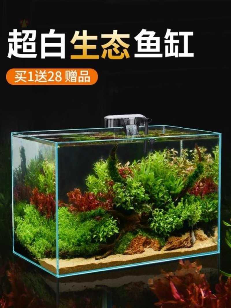 网红超白鱼缸玻璃桌面客厅生态小型斗鱼金鱼乌龟缸造景懒人养鱼水