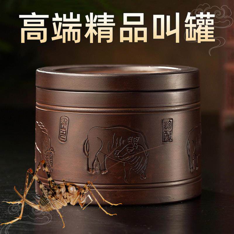 蟋蟀用具大全斗蛐蛐罐高级油葫芦蝈蝈鸣虫竹蛉饲养盒叫罐高端养罐