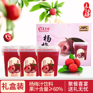 夏至梅杨梅汁饮料整箱聚餐杨梅饮品礼盒装年货节日送礼