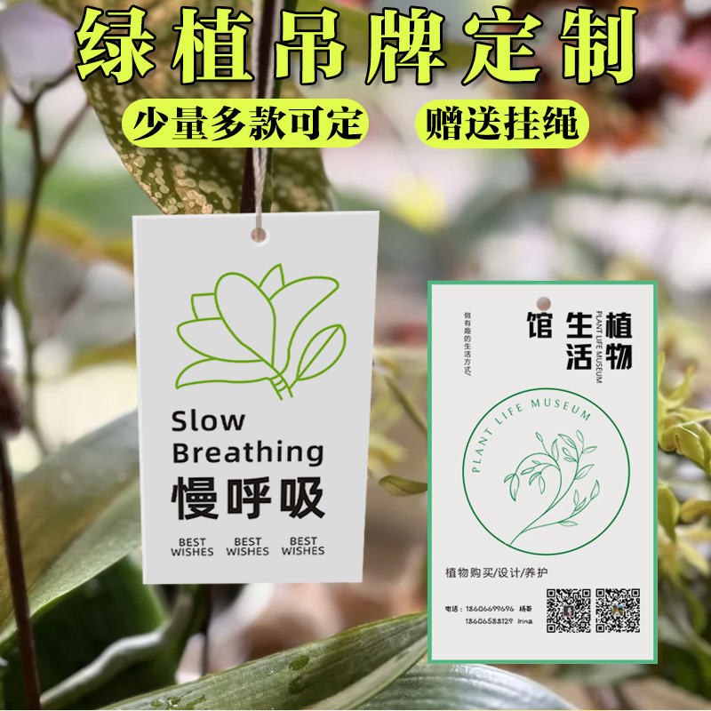 绿植吊牌定制少量多款均可定制