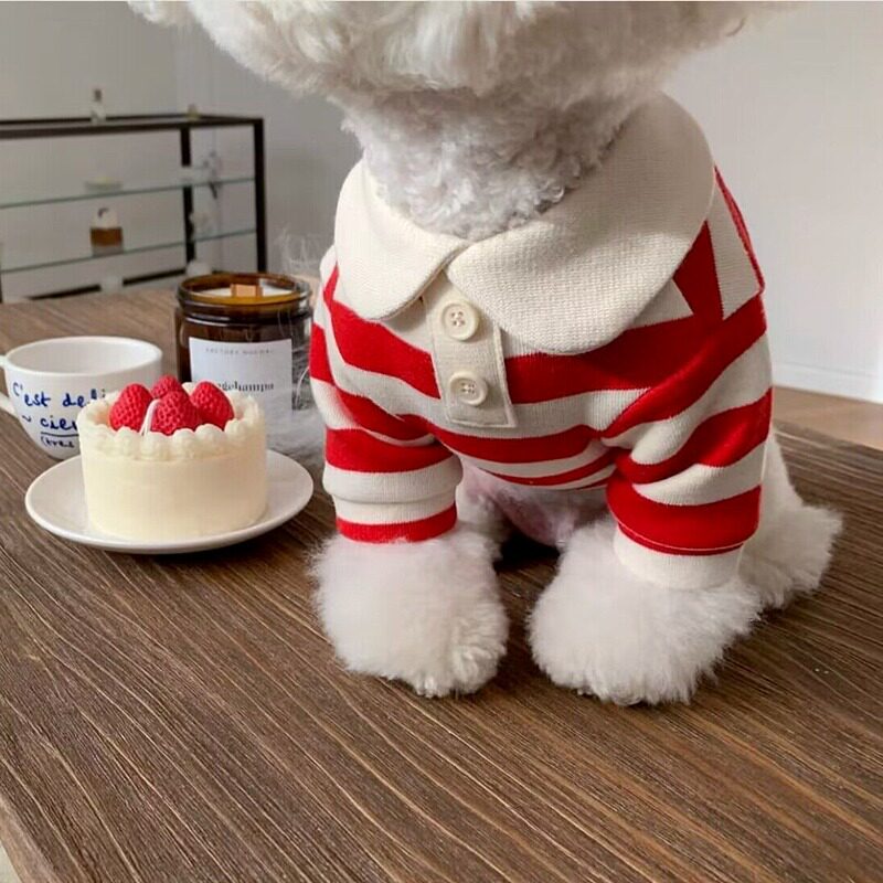 春季狗狗衣服休闲条纹圆