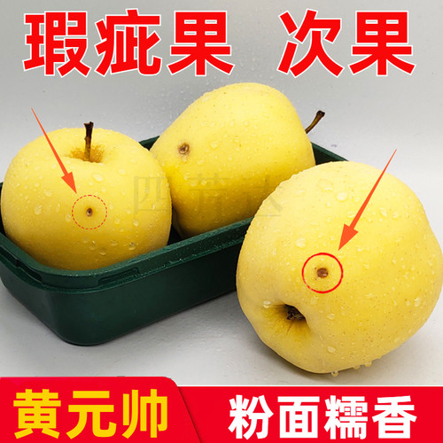烟台黄元帅苹果粉糯香甜很实惠