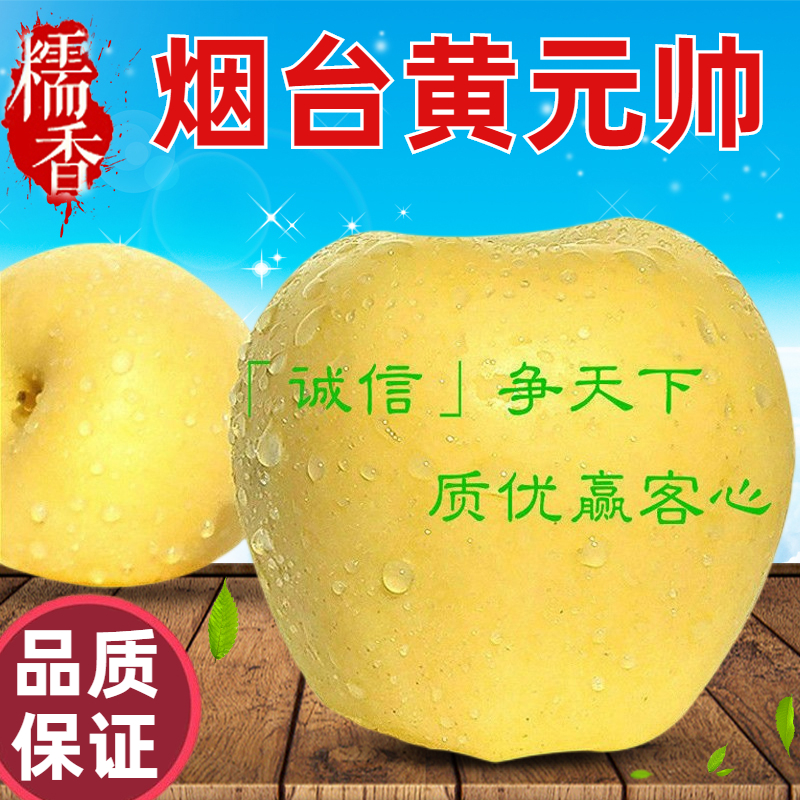 烟台黄元帅苹果黄金帅10斤粉面沙新鲜水果黄香蕉苹果老人孕妇刮泥-封面