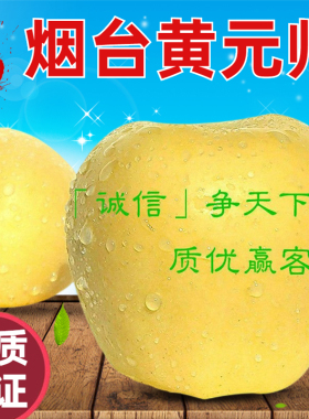 山东烟台黄元帅苹果黄金帅粉面沙新鲜水果黄香蕉苹果老人孕妇刮泥