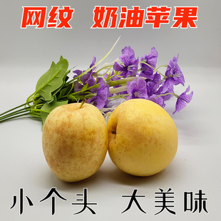 山东烟台苹果黄金奶油富士脆甜新鲜水果栖霞牛奶包邮特产丑冰糖心