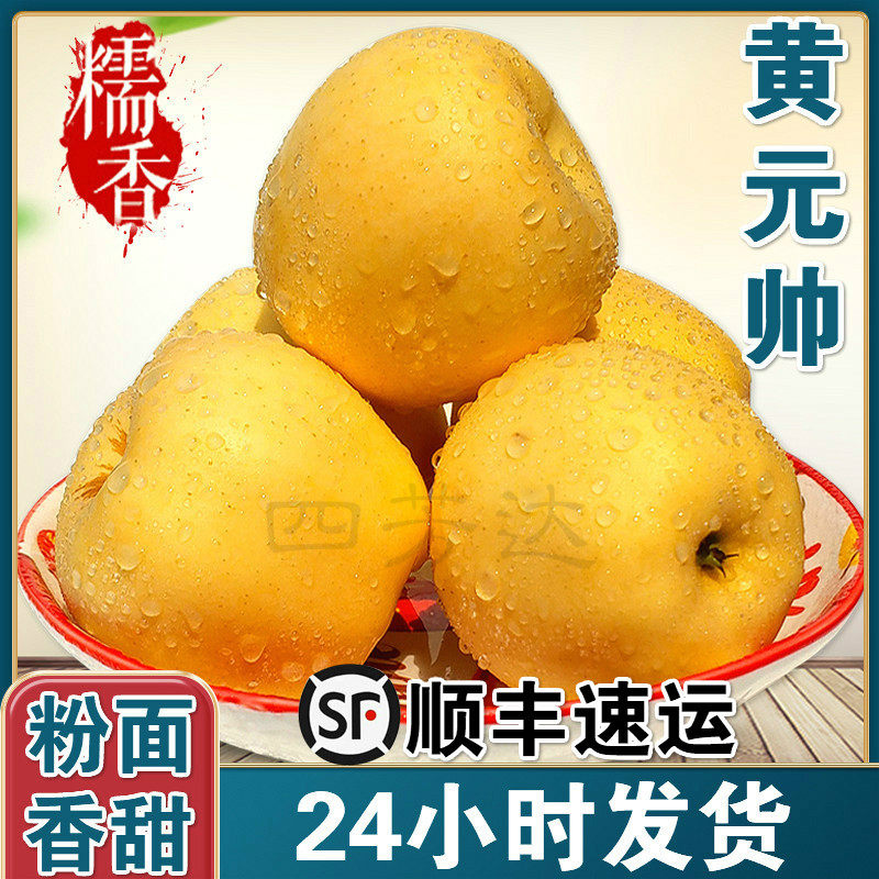 顺丰烟台黄元帅苹果5斤新鲜水果粉面甜沙香黄蕉刮泥老人吃黄金帅