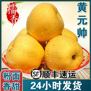 顺丰烟台黄元帅苹果5斤新鲜水果粉面甜沙香黄蕉刮泥老人吃黄金帅