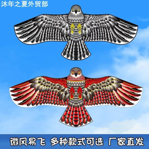 Kite Large Adult Outdoor Sports新款老鹰风筝户外运动 儿童风筝
