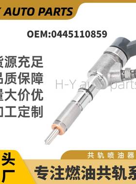共轨电喷0445110859 喷油器总成DK300-1112100A-0445110486 0445