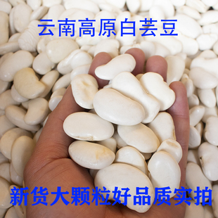 白芸豆1000克肾腰豆云豆大白豆白扁豆杂粮白云豆大果