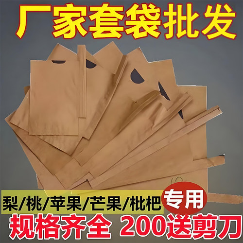 梨专用套袋苹果桃水果套袋果树防虫黄金梨晚秋黄梨耐用防水防鸟袋