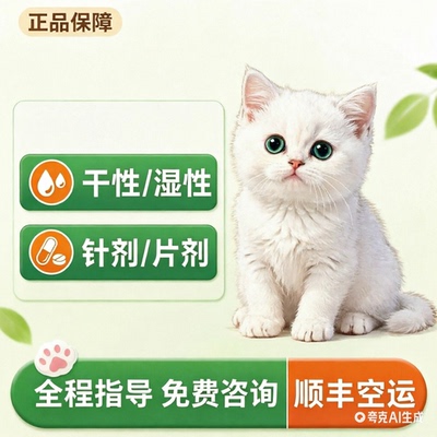猫传腹针剂片剂当日发货次日达
