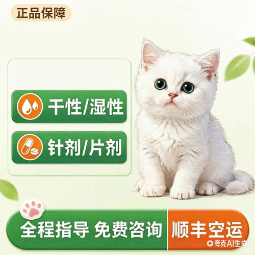 猫传腹针剂片剂当日发货次日达