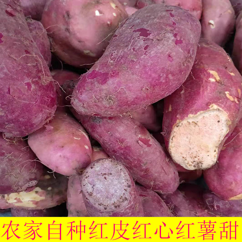 重庆农家自种新鲜红心红皮红薯，红苕，地瓜番薯烧烤地瓜8斤包邮