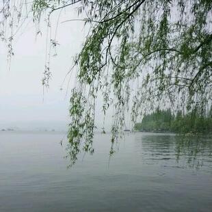 显瘦宽松套头衫 潮女装 加厚针织打底 高领毛衣女韩版 2019秋冬新款