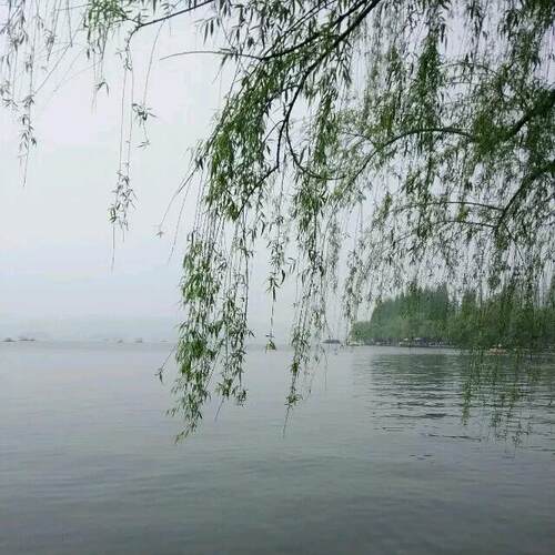 韩版显瘦套头衫加厚打底高领毛衣