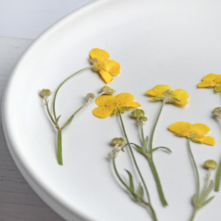 压花带枝毛茛鲜黄色干花油画质感真花标本干花相框手机壳书签材料