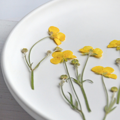 压花带枝毛茛鲜黄色干花油画质感真花标本干花相框手机壳书签材料