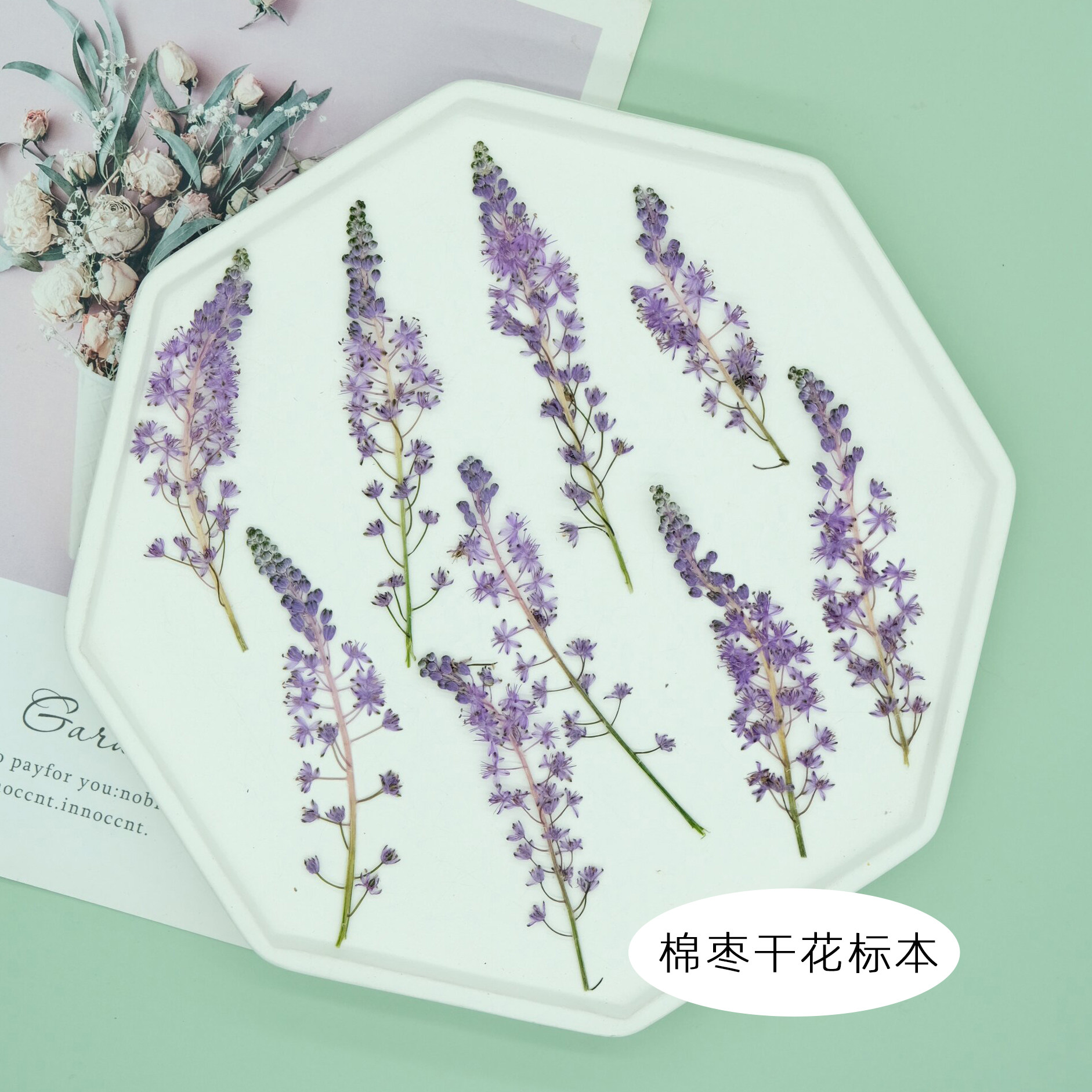 兰花西房 干花压花棉枣儿植物标本野草diy相框信封装饰滴胶杯垫,家居饰品,干花/花瓣/干花包/干树枝,淘宝优惠券,粉丝福利购,淘宝优惠卷