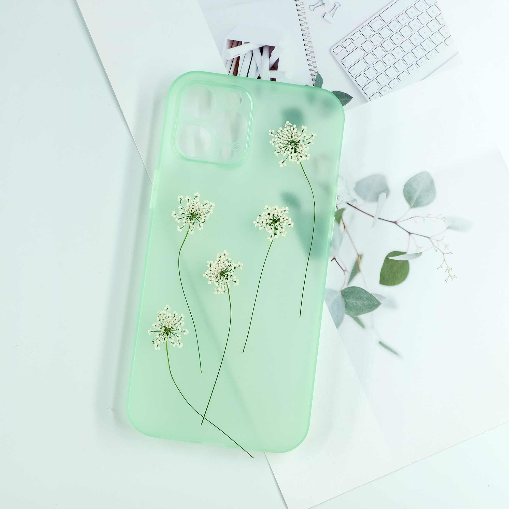 雪珠花蕾丝花干花压花标本