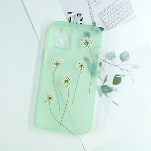 雪珠花带枝多头蕾丝花干花压花标本白色滴胶手机壳滴胶饰品diy