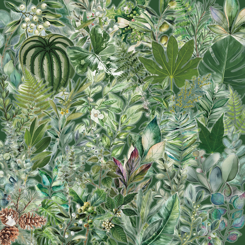 50张绿色植物贴纸装饰DIY贴画
