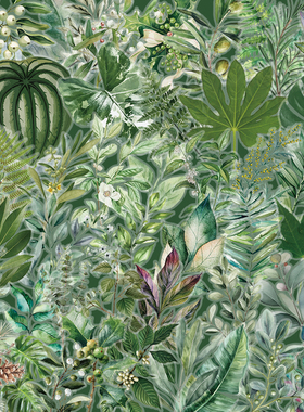 50张绿色植物贴纸树叶主题防水透明pet贴纸手账日记装饰素材咕卡流麻行李箱笔记本电脑手机壳水杯滑板DIY贴画