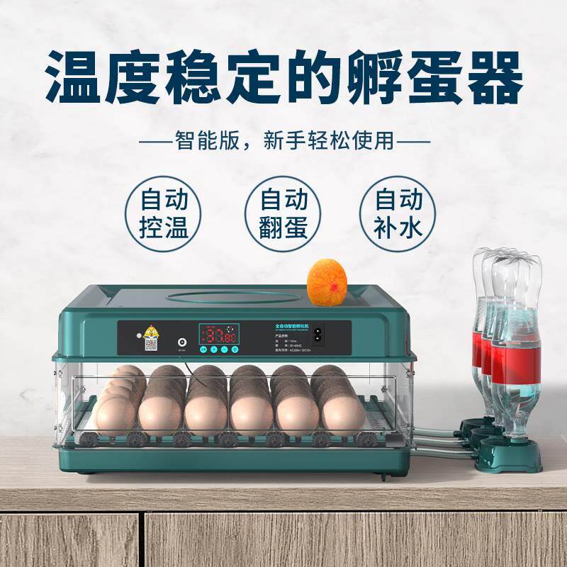 机器小鸡孵化机呼化器鸭鹅的水床家用全自动小型敷鸡蛋器鹌鹑照蛋
