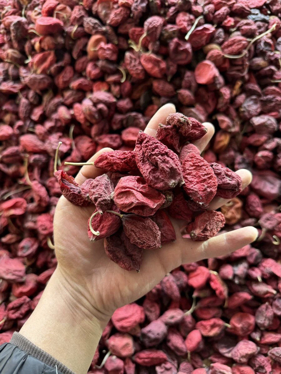 正品中药材西藏精选无硫干鬼臼果八角莲香格里拉藏区可免费磨粉