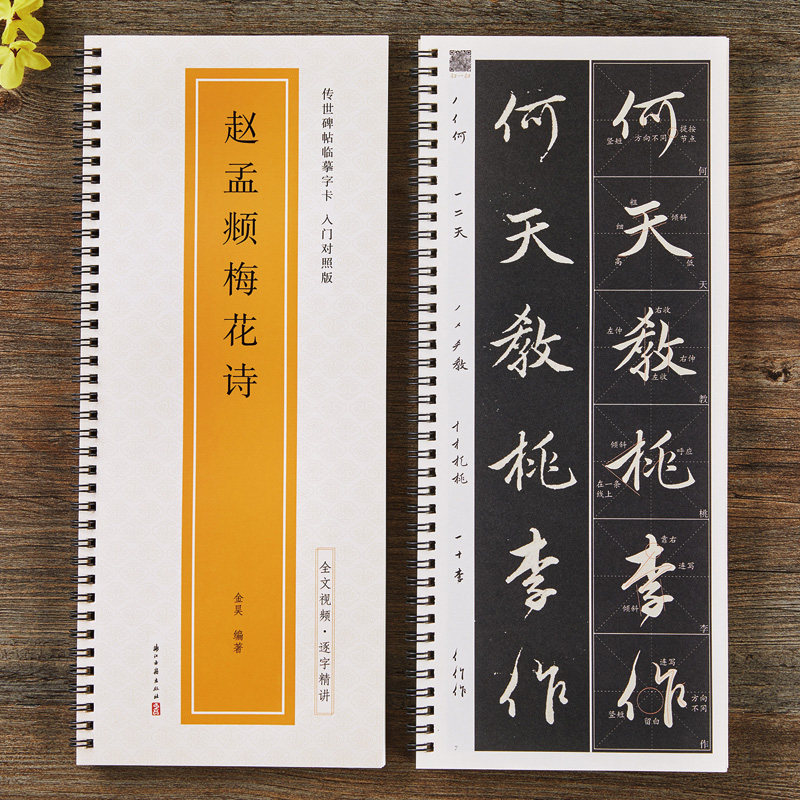 视频版赵孟頫梅花诗行书毛笔书法字帖临摹字卡入门对照版米字格原碑帖全文视频逐字精讲教程赵孟俯赵体初学者近距离放大版练字帖 - 实物图