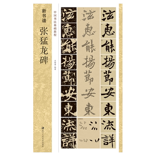 张猛龙碑(原碑帖+技法教程) 新书谱中国书法基础教程 高清原碑帖+笔画技法+章法结构+集字创作入门临摹教材魏碑楷书毛笔书法字帖