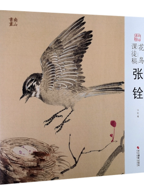 张铨花鸟课徒稿 写意花鸟中国画工笔花鸟牡丹禽鸟画法创作步骤技法讲解教程 学生初学者入门绘画临摹鉴赏画册页作品画集 南山课稿