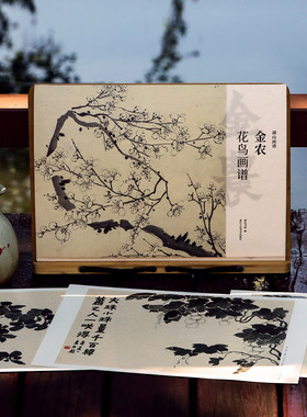 金农花鸟画谱 单片高清印刷可临摹可装饰 历代名家册页立轴挂画精选鉴赏临摹画册 中国画写意花鸟画绘画技法教程作品集 湖山画谱