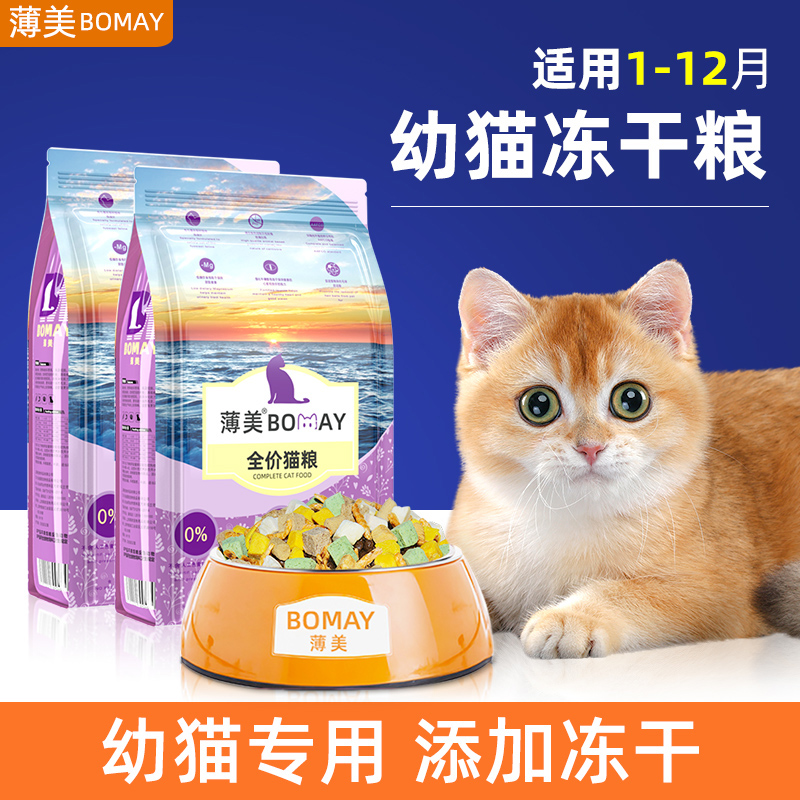 英短金渐层幼猫1-12月猫粮加冻干