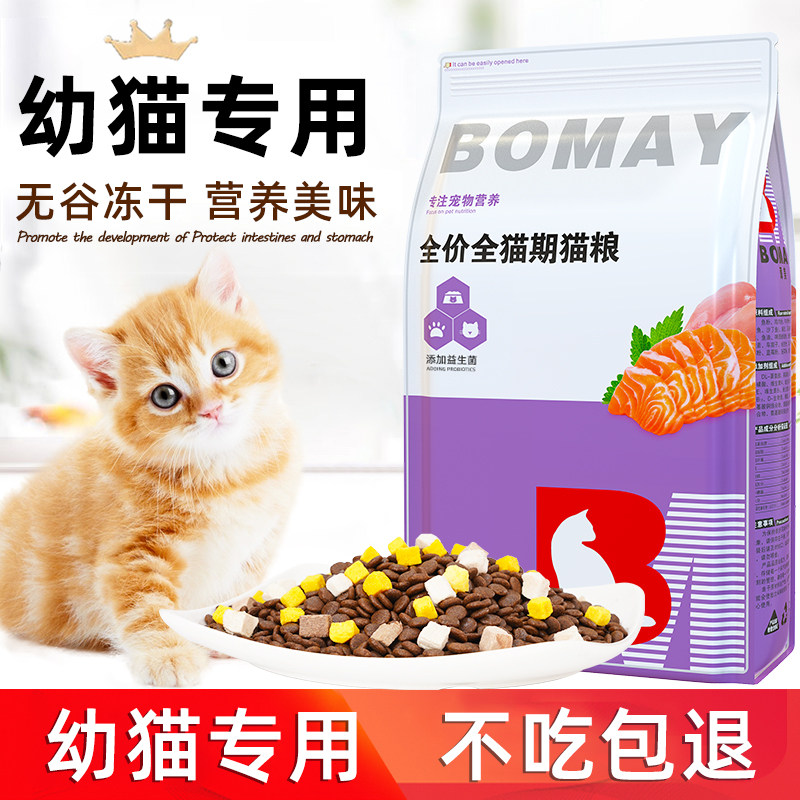 满月小奶猫猫粮橘猫幼崽波斯猫